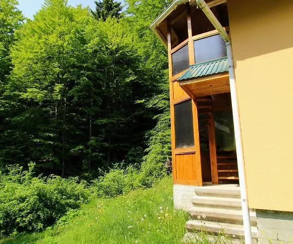 Gribochok Yaremche