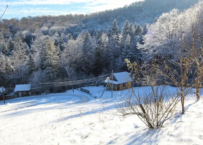 Gribochok Tatil Evi